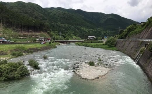 予約受付【令和7年】益田川鮎友釣り年券 1枚 釣り 釣り券 あゆ アユ 下呂市 2025年 釣り券 つり券