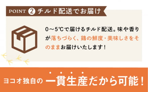 ＜新鮮！産地直送＞みつせ鶏の朝びき鶏 肝（レバー）計1kg（500g×2袋） 吉野ヶ里町/ヨコオフーズ [FAE181]