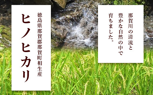 定期便6回 那賀町のお米(玄米) ヒノヒカリ 定期便 お米 こめ おこめ 米 ご飯 ごはん 玄米 げんまい げん米 和食 おにぎり お弁当 頒布会 コメ 6ヵ月 6ヶ月 ひのひかり ヒノヒカリ YS-25