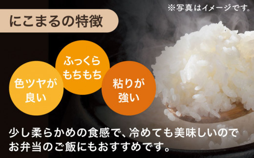 【人気なお米を食べ比べ】長崎県産 米 3種（ひのひかり・にこまる・つや姫） 約2kg×6袋【ながさき西海農業協同組合】 [QAZ004]