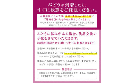 湧き出る果汁が魅力！甲州市産「藤稔」 約1.4kg（2～3房）数量限定【2025年配送】（ASF）B-145 【藤稔 ぶどう 葡萄 ブドウ 令和7年発送 期間限定 山梨県産 甲州市 フルーツ 果物】