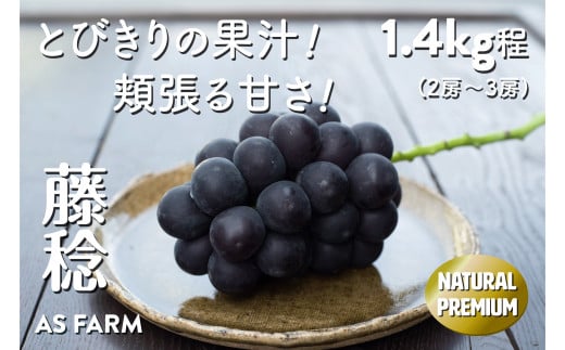 湧き出る果汁が魅力！甲州市産「藤稔」 約1.4kg（2～3房）数量限定【2025年配送】（ASF）B-145 【藤稔 ぶどう 葡萄 ブドウ 令和7年発送 期間限定 山梨県産 甲州市 フルーツ 果物】