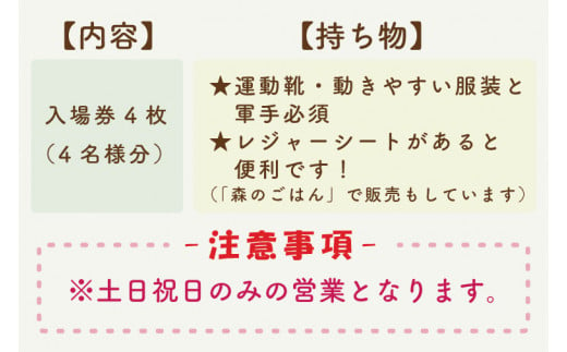 KCE-1　森のあそびばアスレチック利用券