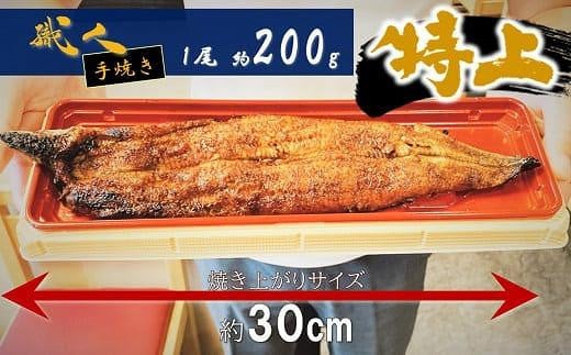 【うなぎ 国産 炭火焼】特大うなぎ蒲焼２尾（計約400g）// うなぎ 鰻 ウナギ うなぎウナギ鰻蒲焼 国産うなぎ鰻ウナギ 貝塚市うなぎ鰻ウナギ うなぎ鰻ウナギ料理 大阪府貝塚市