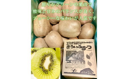 紀州かつらぎ山のキウイフルーツ約3kg【発送予定時期：2025年1月10日〜2025年2月10日】【UT29】