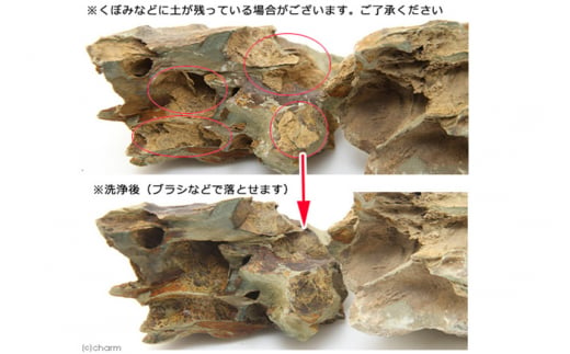 陽火石 サイズミックス（約5～30cm）10kg