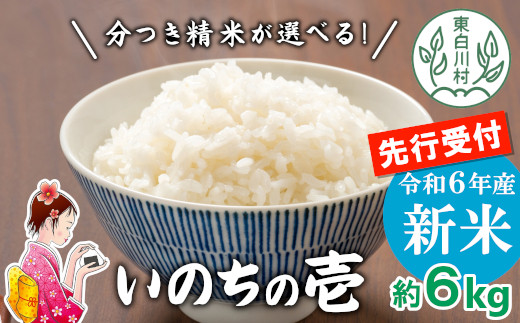 【先行受付】令和6年産 いのちの壱 玄米 約6kg 新米 東白川村産 お米 米 【ご希望により無洗米、白米、8分つき、5分つき、精米いたします！】10000円 一万円