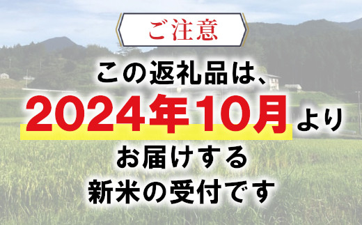 【先行受付】令和6年産 いのちの壱 玄米 約6kg 新米 東白川村産 お米 米 【ご希望により無洗米、白米、8分つき、5分つき、精米いたします！】10000円 一万円