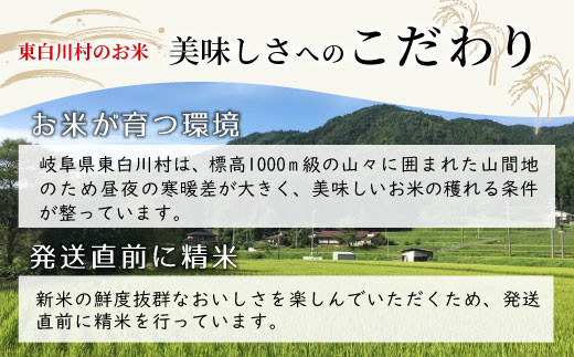 【先行受付】令和6年産 いのちの壱 玄米 約6kg 新米 東白川村産 お米 米 【ご希望により無洗米、白米、8分つき、5分つき、精米いたします！】10000円 一万円