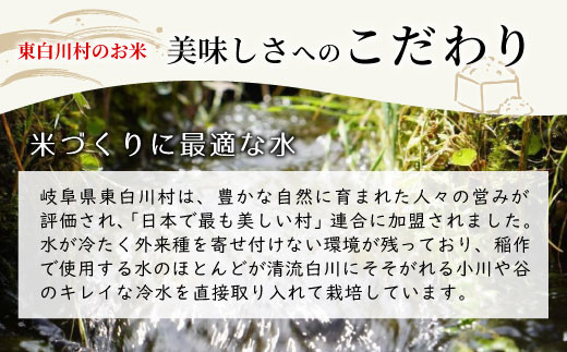 【先行受付】令和6年産 いのちの壱 玄米 約6kg 新米 東白川村産 お米 米 【ご希望により無洗米、白米、8分つき、5分つき、精米いたします！】10000円 一万円