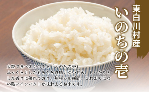 【先行受付】令和6年産 いのちの壱 玄米 約6kg 新米 東白川村産 お米 米 【ご希望により無洗米、白米、8分つき、5分つき、精米いたします！】10000円 一万円