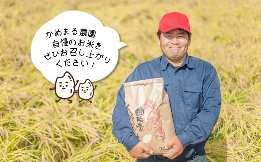 【定期便12回】 かめまる農園 の 「 ひのひかり 」 10kg × 12回 | 米 こめ お米 おこめ 白米 精米 ヒノヒカリ 熊本県 玉名市 定期 定期便