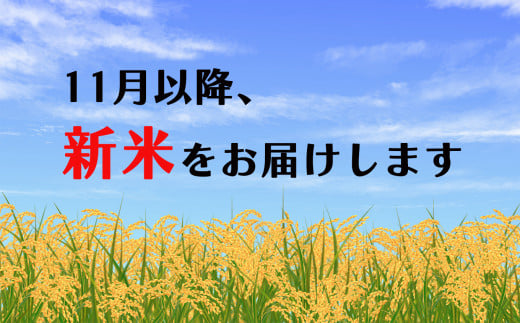 【定期便12回】 かめまる農園 の 「 ひのひかり 」 10kg × 12回 | 米 こめ お米 おこめ 白米 精米 ヒノヒカリ 熊本県 玉名市 定期 定期便