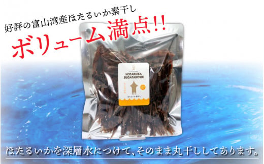 ほたるいか素干し100尾【ホタルイカ 蛍烏賊 いか イカ おつまみ 干物 珍味 富山 名産 観光 富山 ギフト カネツル砂子商店】