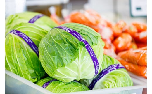 岩手町産の旬野菜セット 野菜 旬 やさい 新鮮 採れたて 詰合せ セット おまかせ 