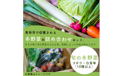 美祢市産 冬野菜の詰め合わせセット ｜ 10種類以上 野菜  BOX 冬野菜  セット 生野菜 生鮮野菜  サラダ   特産品 山口 美祢 美東 ゴボウ 牛蒡 ハクサイ 白菜 鍋 具材 コスパ 詰め合わせ 旬