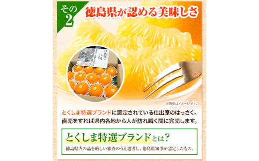 ＜ 先行予約 ＞ 八朔 はっさく 約5kg 12個 《2025年2月上旬‐2025年3月上旬頃出荷》仕出原八朔生産組合 果物 くだもの フルーツ 特選 ゼリー ジュース ピール 徳島県 美馬市