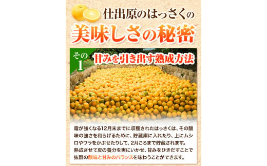 ＜ 先行予約 ＞ 八朔 はっさく 約5kg 12個 《2025年2月上旬‐2025年3月上旬頃出荷》仕出原八朔生産組合 果物 くだもの フルーツ 特選 ゼリー ジュース ピール 徳島県 美馬市