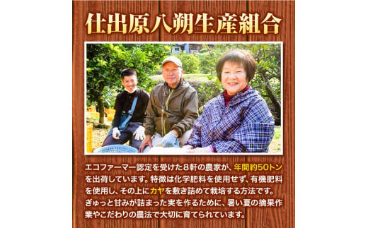 ＜ 先行予約 ＞ 八朔 はっさく 約5kg 12個 《2025年2月上旬‐2025年3月上旬頃出荷》仕出原八朔生産組合 果物 くだもの フルーツ 特選 ゼリー ジュース ピール 徳島県 美馬市