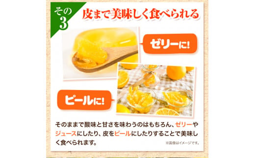 ＜ 先行予約 ＞ 八朔 はっさく 約5kg 12個 《2025年2月上旬‐2025年3月上旬頃出荷》仕出原八朔生産組合 果物 くだもの フルーツ 特選 ゼリー ジュース ピール 徳島県 美馬市