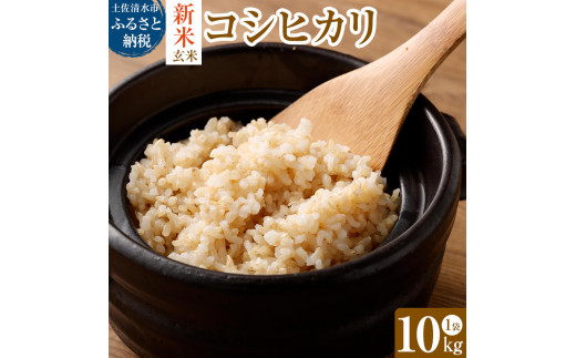 令和6年産新米 コシヒカリ玄米10kg（1袋）【先行予約/令和6年8月発送予定】お米 健康食品 10000g 10キロ おこめ 米 ごはん 飯 こしひかり ブランド米 常温 国産 高知県 土佐清水市【R00325】