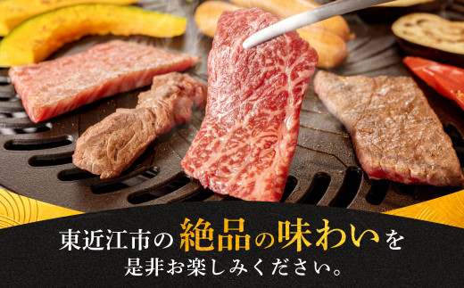 B-E11 近江牛ＢＢＱセット 株式会社利他フーズ