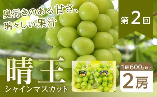 フルーツ 2025年先行予約【全4回コース】晴れの国岡山 フルーツ定期便