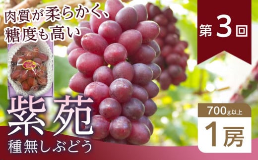 フルーツ 2025年先行予約【全4回コース】晴れの国岡山 フルーツ定期便