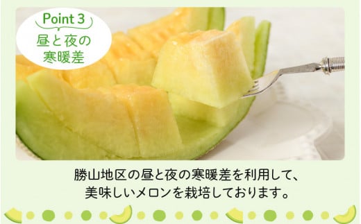 【先行予約】勝山 若猪野メロン (2玉 箱入り)  ※2024年7月中旬～8月中旬頃発送  [A-058005]