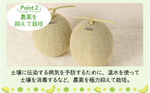 【先行予約】勝山 若猪野メロン (2玉 箱入り)  ※2024年7月中旬～8月中旬頃発送  [A-058005]