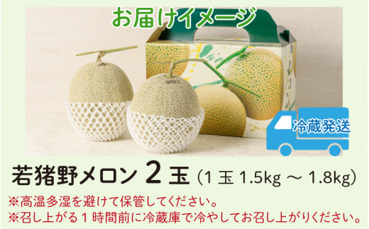 【先行予約】勝山 若猪野メロン (2玉 箱入り)  ※2024年7月中旬～8月中旬頃発送  [A-058005]