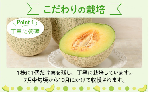 【先行予約】勝山 若猪野メロン (2玉 箱入り)  ※2024年7月中旬～8月中旬頃発送  [A-058005]