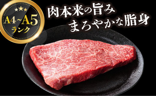 【全6回定期便】【A4～A5】長崎和牛モモステーキ　約1kg（100g×10p）【株式会社 MEAT PLUS】 [DBS135]