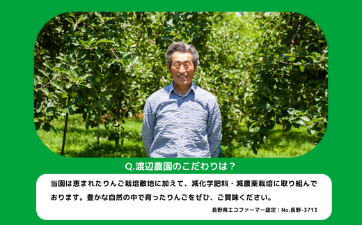 りんご サンふじ 訳あり 10kg 渡辺農園 沖縄県への配送不可 2024年12月上旬頃から2025年1月中旬頃まで順次発送予定 令和6年度収穫分 エコファーマー認定 減農薬栽培 長野県 飯綱町 [1251]