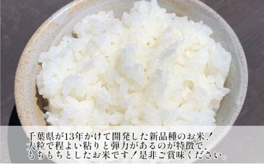 米 令和6年 新品種 粒すけ 10kg （ 5kg×2  ） 千葉産 白米　【 お米 こめ コメ おこめ 】 [№5346-0047]