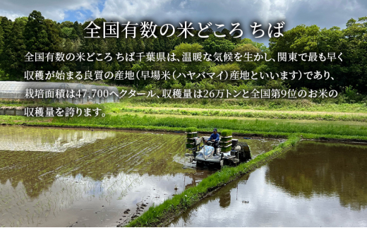 米 令和6年 新品種 粒すけ 10kg （ 5kg×2  ） 千葉産 白米　【 お米 こめ コメ おこめ 】 [№5346-0047]