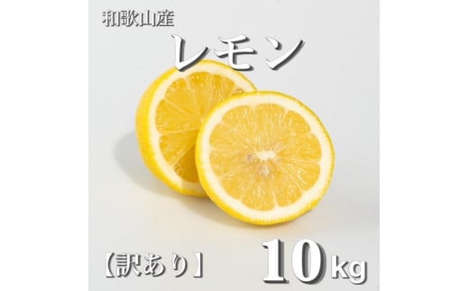 和歌山産 レモン 10kg  【訳あり】 【US3】