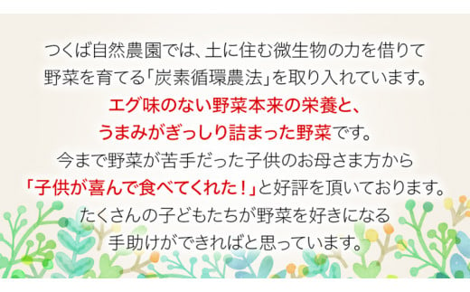 今夏お届け！ 農薬 ・ 肥料 不使用 ミニトマト の 詰め合わせ 3kg オーガニック ミニ トマト 有機栽培 健康 自然 肥料不使用 炭素循環農法 