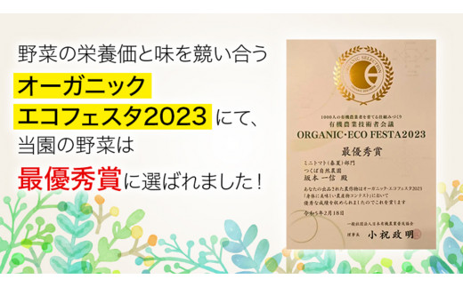 今夏お届け！ 農薬 ・ 肥料 不使用 ミニトマト の 詰め合わせ 3kg オーガニック ミニ トマト 有機栽培 健康 自然 肥料不使用 炭素循環農法 