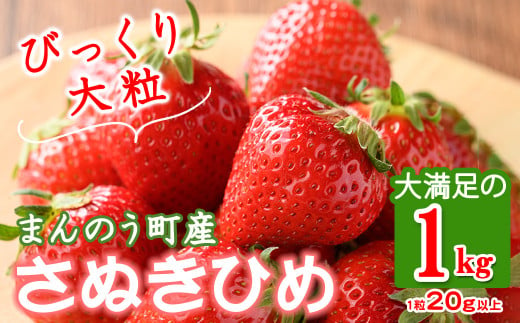 ＜先行予約！2025年3月下旬以降順次発送予定＞＜選べる容量＞大粒！香川県産 さぬきひめいちご(約1kg・1粒20g以上)  【man104・man105】【Aglio nero】