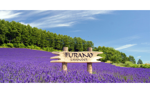 デリスプリン&amp;ふらのミルクシフォン_ プリン シフォンケーキ ケーキ スイーツ お菓子 おやつ 人気 美味しい 北海道 富良野 富良野市 ギフト プレゼント 【1392226】