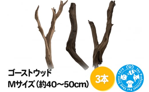 ゴーストウッド Mサイズ（約40～50cm）3本