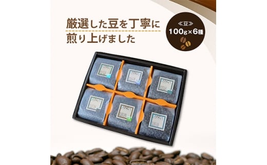 サンガコーヒー〈豆〉100g×6種【1070089】