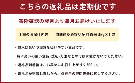 【8回定期便】浦臼産ゆめぴりか 精白米 5kg×1袋