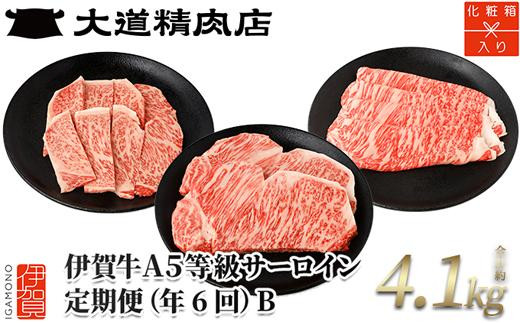 【年6回】伊賀牛 A5サーロイン 定期便コースB 総合計約4.1kg