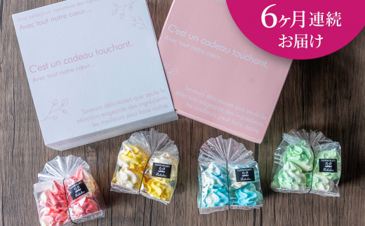 ＜ 6ヶ月 定期便 ＞カラフル メレンゲ クッキー 毎月 4袋 ( 1袋 8個 入り ) お菓子 おやつ スイーツ