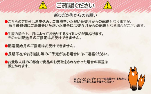 ＜ 6ヶ月 定期便 ＞カラフル メレンゲ クッキー 毎月 4袋 ( 1袋 8個 入り ) お菓子 おやつ スイーツ