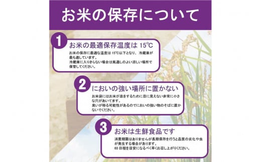 【期間限定発送】 米 令和6年 能登米 こしひかり 精米 2kg ×3袋 計 6kg [中橋商事 石川県 宝達志水町 38600972] お米 白米 ごはん 美味しい コシヒカリ 石川 能登 保存 チャック付き