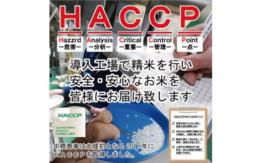 【期間限定発送】 米 令和6年 能登米 こしひかり 精米 2kg ×3袋 計 6kg [中橋商事 石川県 宝達志水町 38600972] お米 白米 ごはん 美味しい コシヒカリ 石川 能登 保存 チャック付き