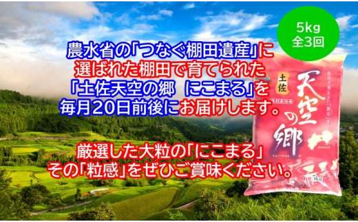 2010年・2016年 お米日本一コンテスト inしずおか 特別最高金賞受賞土佐天空の郷　にこまる　5kg　毎月お届け全3回